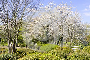 Spring in Milton Keynes, England photo