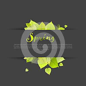 Spring minimalist sale label with leaves on dark background