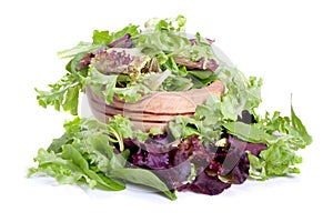 Spring mix salad