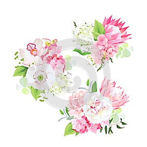 Spring mixed bouquets of pink and white hydrangea, protea flowers, white poppy, peony, orchid