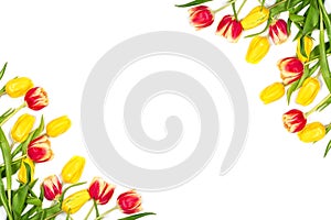 Spring mockup. Beautiful red and yellow tulips on white background. Space for your text. Top view.