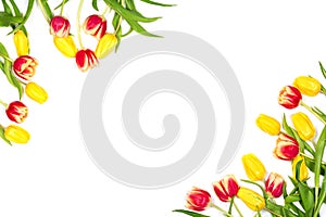 Spring mockup. Beautiful red and yellow tulips on white background. Space for your text. Top view.