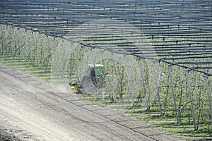 Spring modern apple orchard