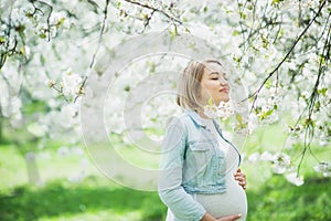 Spring mood, beautiful pregnant woman smell flowering cherry tree, enjoying nature, white floral garden.