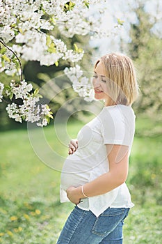 Spring mood, beautiful pregnant woman smell flowering cherry tree, enjoying nature, white floral garden