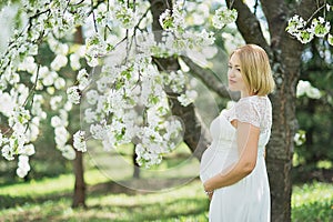 Spring mood, beautiful pregnant woman smell flowering cherry tree, enjoying nature, white floral garden