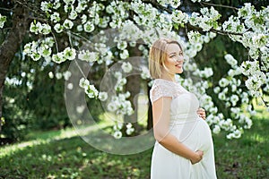 Spring mood, beautiful pregnant woman smell flowering cherry tree, enjoying nature, white floral garden