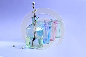 Spring mood: flowering willow branch in a green bottle against the background of multi-colored glasses, blue background, space for