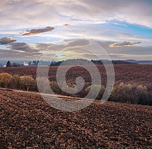 Spring morning arable and growth fields and countryside