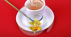 Spring morning cofee with yellow flower