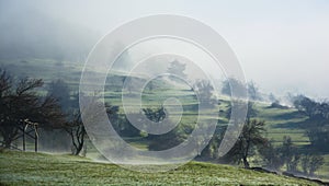 Spring morning mist in the vast Rhodopes