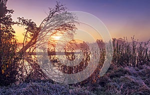 Spring morning sunrise at outdoor nature. Scenic landscape of colorful frosty spring morning. Dawn over wild lake