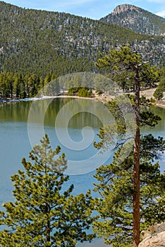 Spring Mountain Lake - Lily Lake, Rocky Mountain National Park