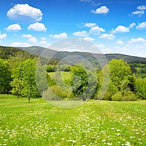 Spring mountain landscape in the National park Sumava