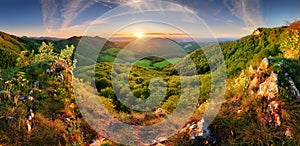 Spring mountain landscape panorama with forest and sun