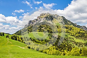 Spring mountain landscape with stony Big Rozsutec peak