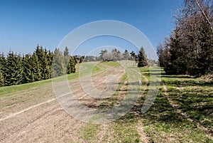 Spring mountain meadow with dirty roads, trees around and clear sky