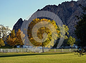 Spring Mountain Ranch State Park