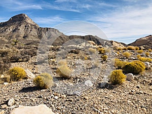 Spring Mountain Range near Las Vegas Nevada