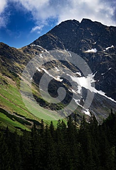 Spring on a mountain rock top