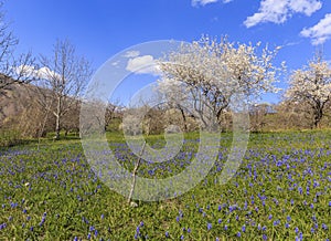 Spring in the mountains near the village of Lahij Azerbaijan