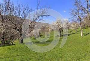 Spring in the mountains near the village of Lahij Azerbaijan