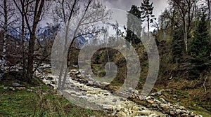 Spring in the mountains.