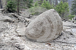 A Spring Mudslide Through The Woods With Boulder