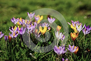 Spring in Munich again