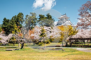 Spring of Nagahama castle in Shiga, Japan