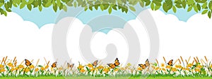 Spring nature background with blue Sky,Cloud,Bee,Butterfly flying on Sunflowers field.Vector Seamless pattern Summer green field