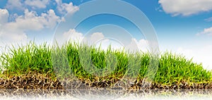 Spring nature background with grass and blue sky in