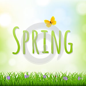 Spring Nature Background With Grass Border And Flowers