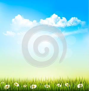 Spring Nature Background With A Green Grass And Blue Sky