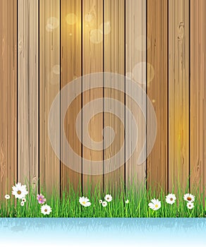 Spring nature background. Green grass and leaf plant over wood fence