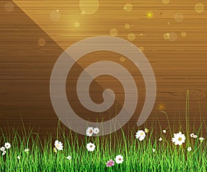 Spring nature background. Green grass and leaf plant, White Gerbera, Daisy flowers and sunlight over wood fence