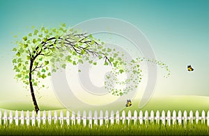 Spring nature background with green treeand landscape. photo