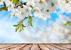 Spring nature background. White flowering branches and wooden table top