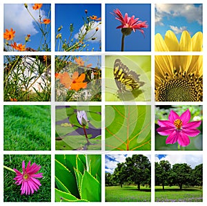 Spring and nature collage