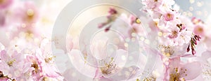 Spring Nature Easter art background with blossom. Beautiful nature scene with blooming flowers tree and sun flare. Sunny day.