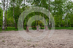 Spring nature forest. Nature in summer. Springtime season. Pathway or path in forest wood. Park with bench