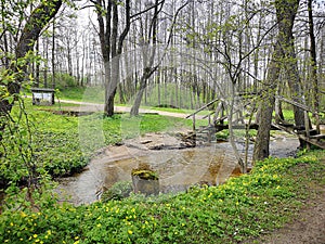 Spring nature in Lithuania photo