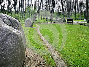 Spring nature in Lithuania photo