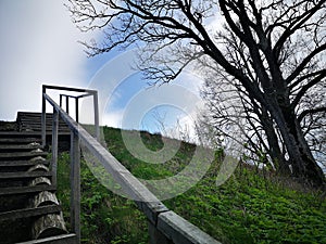 Spring nature in Lithuania photo