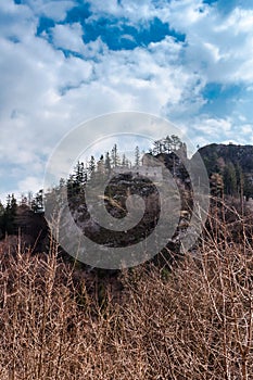 Spring nature in rocky forest of Vrsatec castle of Slovakia