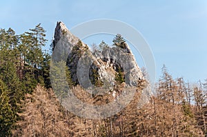 Spring nature in rocky forest of Vrsatec castle of Slovakia