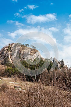 Spring nature in rocky forest of Vrsatec castle of Slovakia