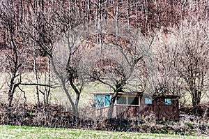 Spring nature in rocky forest of Vrsatec village of Slovakia