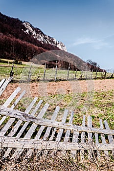 Jarná príroda v skalnom lese obce Vršatec na Slovensku