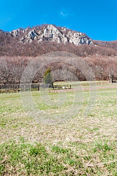 Spring nature in rocky forest of Vrsatec village of Slovakia